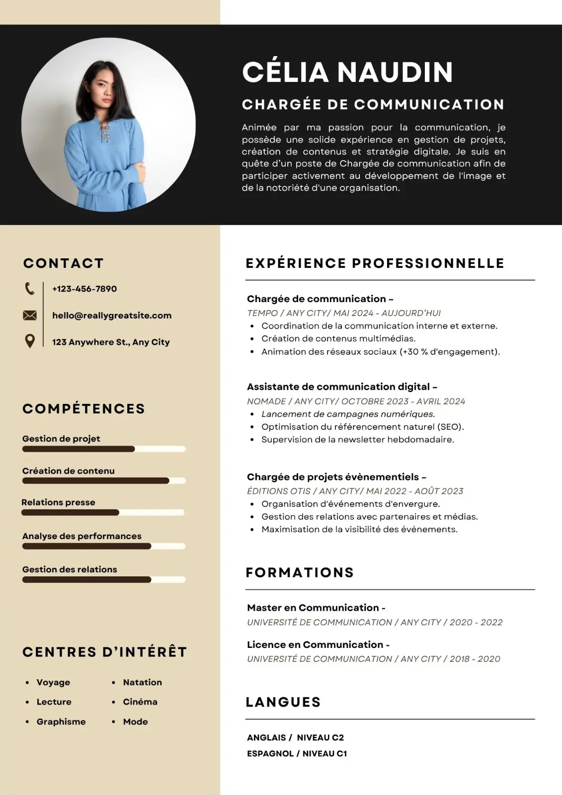 CV Professionnel